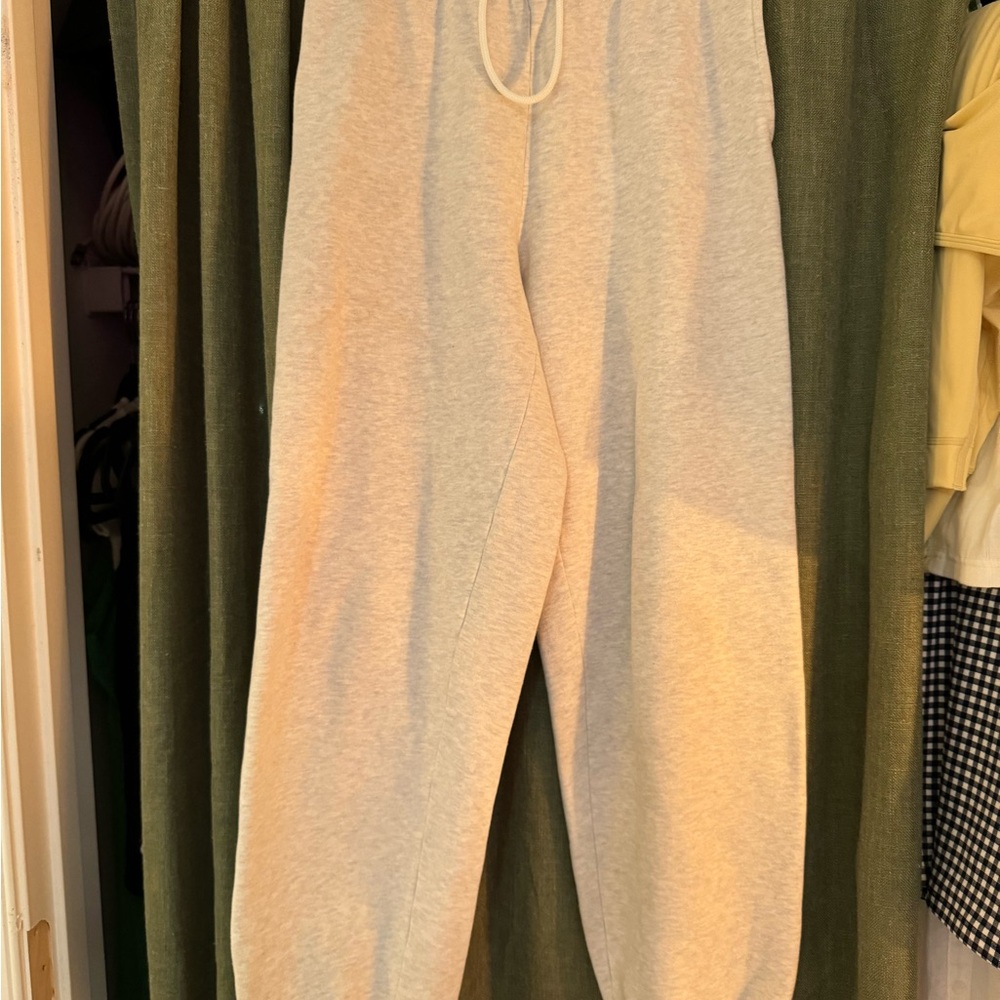Aritzia Sweatpants